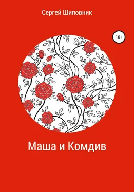 Сергей Шиповник Маша и Комдив обложка книги