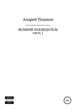 Андрей Пушнин Великий Наблюдатель. Часть 1 обложка книги