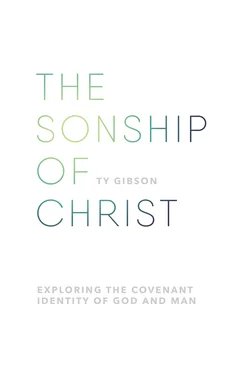 Ty Gibson The sonship of Christ обложка книги