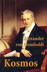 Alexander von - Kosmos