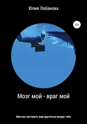 Юлия Лобанова - Мозг мой – враг мой, или Как заставить мир крутиться вокруг тебя