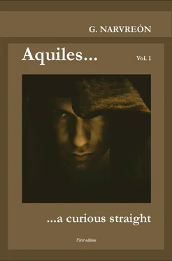 Gonzalo Narvreón Aquiles... a curious straight обложка книги
