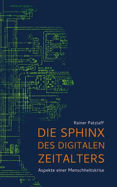 Rainer Patzlaff Die Sphinx des digitalen Zeitalters обложка книги