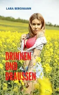 Lara Bergmann Drinnen und Draussen обложка книги