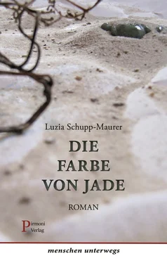 Luzia Schupp-Maurer Die Farbe von Jade обложка книги