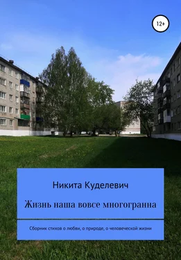 Никита Куделевич Жизнь наша вовсе многогранна обложка книги