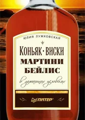 Юлия Лужковская - Коньяк, виски, мартини, бейлис в домашних условиях