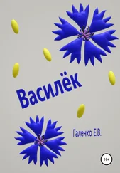 Елена Галенко - Василёк