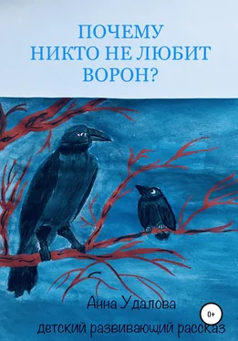 Анна Удалова Почему никто не любит ворон? обложка книги