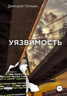Дмитрий Пяткин Уязвимость обложка книги