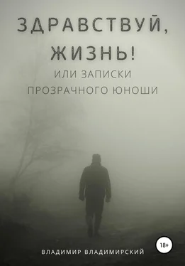 Владимир Владимирский Здравствуй, жизнь! или Записки прозрачного юноши обложка книги