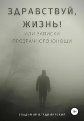 Владимир Владимирский - Здравствуй, жизнь! или Записки прозрачного юноши