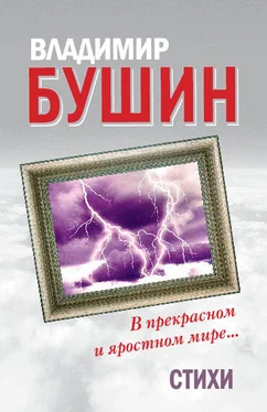 Владимир Бушин В прекрасном и яростном мире… Стихи обложка книги