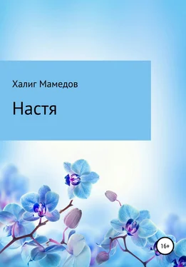 Халиг Мамедов Настя обложка книги