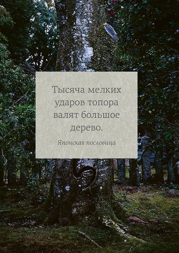 В японском языке есть три слова обозначающие сердце Первое это синдзо - фото 8