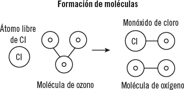 1 Paso 4 Las moléculas de monóxido de cloro son más afines por los átomos de - фото 25