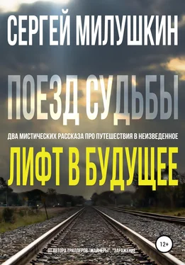 Сергей Милушкин Лифт в будущее. Поезд судьбы обложка книги