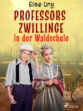 Else Ury Professors Zwillinge in der Waldschule обложка книги