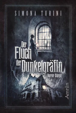 Simona Turini Der Fluch der Dunkelgräfin обложка книги