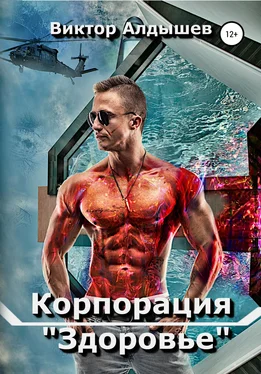 Виктор Алдышев Корпорация «Здоровье» обложка книги