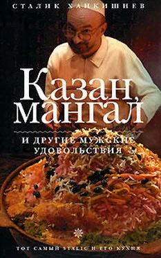 Сталик Ханкишиев Казан, мангал и другие мужские удовольствия обложка книги