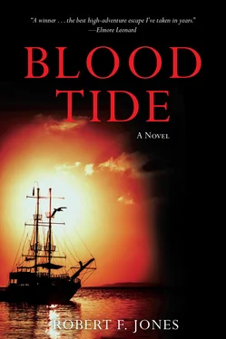 Robert Jones Blood Tide обложка книги