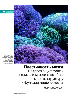 Smart Reading Ключевые идеи книги: Пластичность мозга. Потрясающие факты о том, как мысли способны менять структуру и функции нашего мозга. Норман Дойдж обложка книги