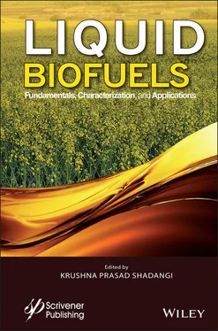 Неизвестный Автор Liquid Biofuels обложка книги