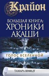 Тамара Шмидт - Крайон. Большая книга - Хроники Акаши. Голос Вселенной