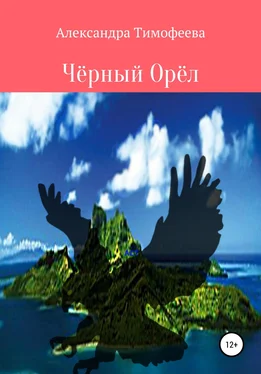 Александра Тимофеева Чёрный Орёл обложка книги