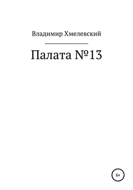 Владимир Хмелевский Палата №13 обложка книги