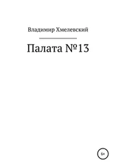 Владимир Хмелевский - Палата №13