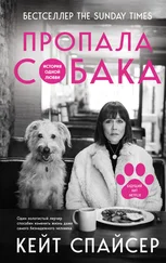 Кейт Спайсер - Пропала собака. История одной любви