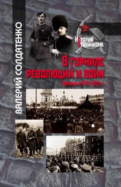 Валерий Солдатенко В горниле революций и войн: Украина в 1917-1920 гг. историко-историографические эссе обложка книги