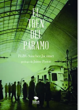 Pedro Sánchez Jacomet El tren del páramo обложка книги