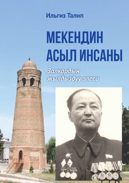 Ильгиз Талип Мекендин асыл инсаны. Залкардын жылдыздуу элеси обложка книги