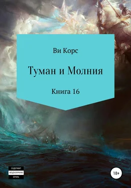 Ви Корс Туман и Молния. Книга 16 обложка книги