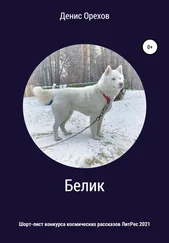 Денис Орехов - Белик