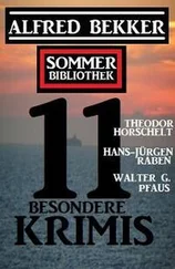 Walter G. Pfaus - Sommer Bibliothek 11 besondere Krimis