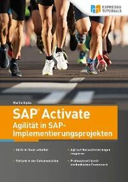 Martin Kipka SAP Activate - Agilität in SAP S/4HANA-Implementierungsprojekten обложка книги