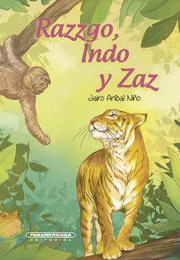 Jairo Aníbal Niño Razzgo, Indo y Zaz обложка книги