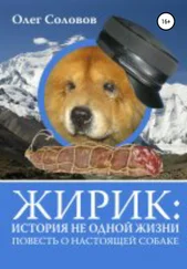 Олег Соловов - Жирик - История не одной жизни. Повесть о настоящей собаке