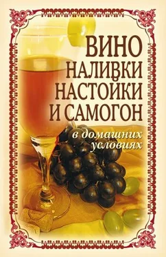 Татьяна Лагутина Вино, наливки, настойки и самогон в домашних условиях обложка книги