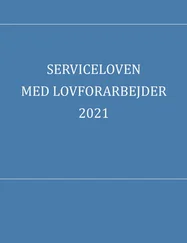 Carsten Høj Rasmussen - Serviceloven med lovforarbejder