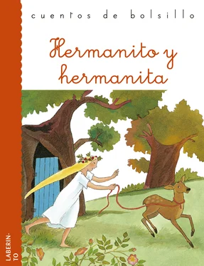 Jacob y Wilhelm Grimm Hermanito y hermanita обложка книги