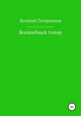Валерий Татаринцев Волшебный топор обложка книги