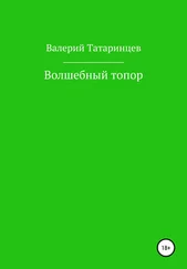 Валерий Татаринцев - Волшебный топор