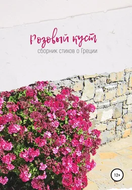 Ирина Сухолет Розовый куст обложка книги