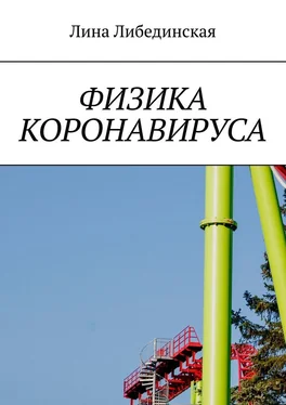 Лина Либединская Физика коронавируса обложка книги