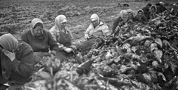 Обработка свеклы 1934 гОбразование колхоза 1 Мая слияние II Цветнополье - фото 11
